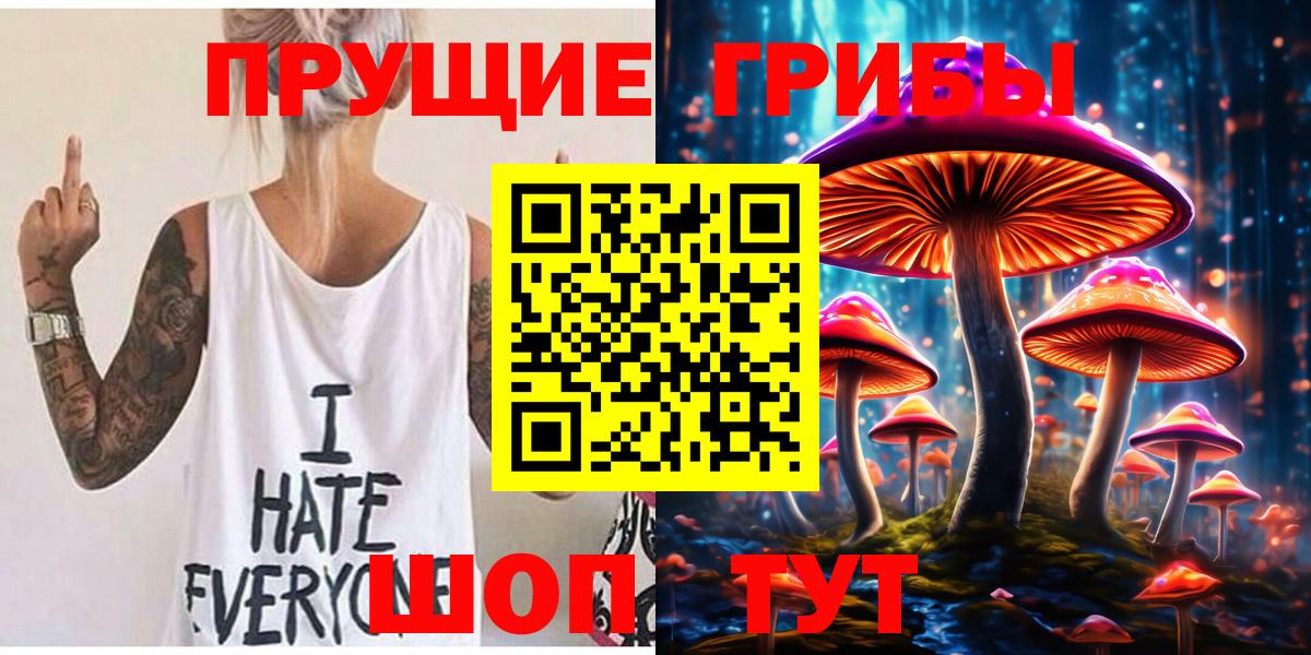 Гудермес  Галлюциногенные грибы Psilocybine cubensis  Вход с VPN  Псилоцибиновые грибы мицелий 
